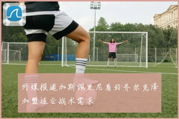 外媒报道加斯佩里尼看好齐尔克泽加盟适合战术需求