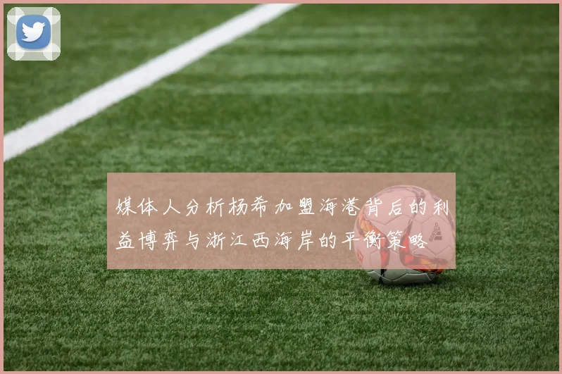 媒体人分析杨希加盟海港背后的利益博弈与浙江西海岸的平衡策略